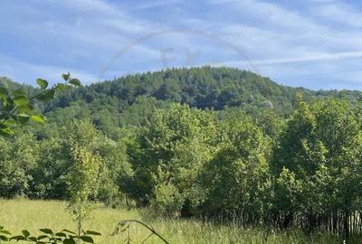 Teren de 1559 mp, în Brebu - 9