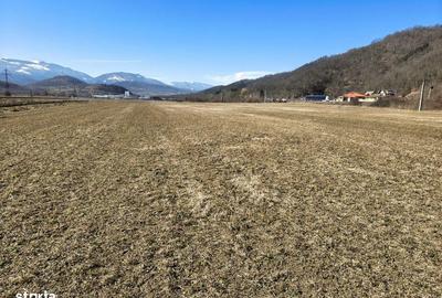 Teren de 2800 mp, în Turnu Roșu - 9