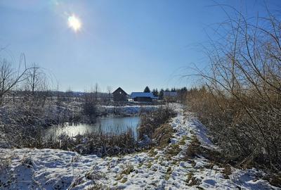 Casa de vacanta cu 6 camere + teren suprafata 7.384 mp, Bradet, Bihor - 4