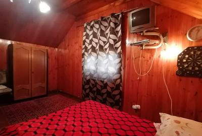 Imobil regim de inaltime p+m, Comarnic - 22