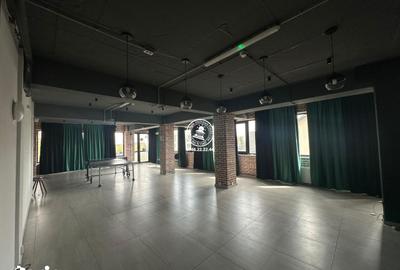 Spațiu comercial, de 195 mp, în Valea Lupului - 12