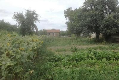 RECO Casa in Ciumeghiu la 18km de Salonta - 1