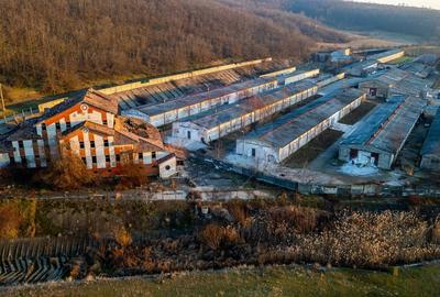 Fosta Ferma a Partidului  de la Horgesti - de vanzare - 22