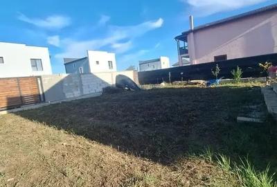 Casă P+M + Pivniță o Stadiu gri o 424 mp teren o Berceni (Ilfov) - 4