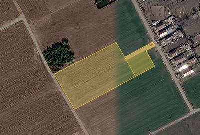 Teren Construcții intravilan de 7792 mp, în Sitaru - 1