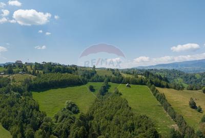 Teren Panoramic in Bran Vedere spre Bucegi & Piatra C... - 5