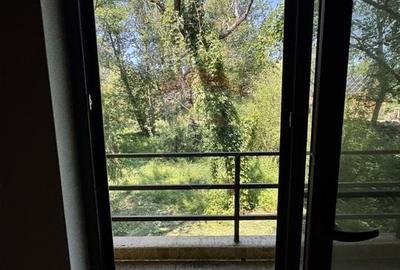 Casa cu teren generos – refugiul perfect în Paltinoasa, Suceava - 13