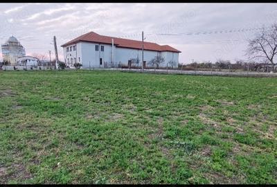 Teren de 1260 mp, în Ceamurlia de Jos - 2