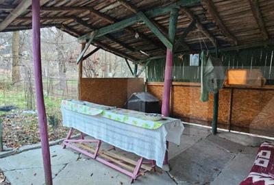 Casă cu 2 camere cu Teren 1110 Mp în Bezdead - 17