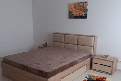 Garsoniera zona Bulevardul Constructorilor - 1