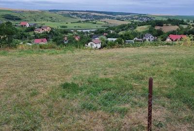 Teren de 1022 mp, în Dorobanț - 12