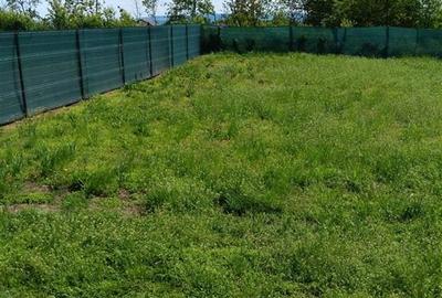 Teren Construcții intravilan de 550 mp, în Aroneanu - 4