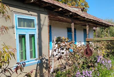 Intravilan sosea - 2