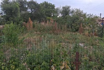 Teren 800 mp zona linistita Teren 800 mp zona linistita - 1