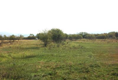 Spațiu comercial, în Central - 7