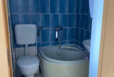 Garsonieră în Tei - 3