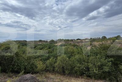 Teren de 579 mp, în Central