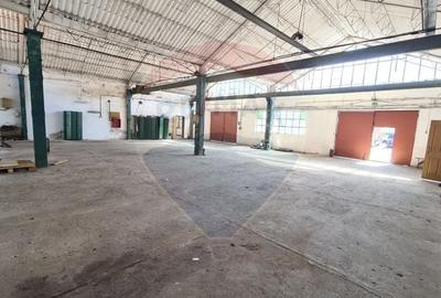 Spațiu industrial, de 450 mp, în Sânnicolau Mic