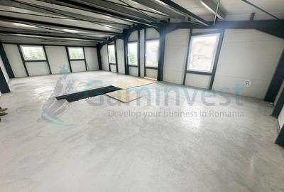 Spațiu industrial, în Borș - 2