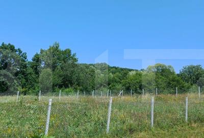 Teren extravilan de 1000 mp, situat pe strada Ghinzii - 5
