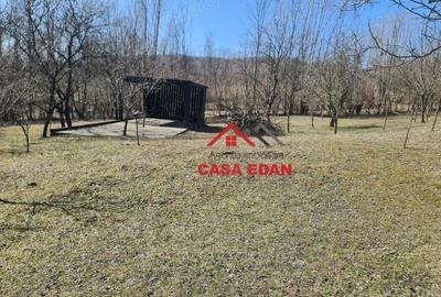 Teren de 9104 mp, în Brebu - 2