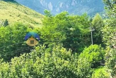 TEREN Izvoru Muntelui, langa orasul BICAZ - 5