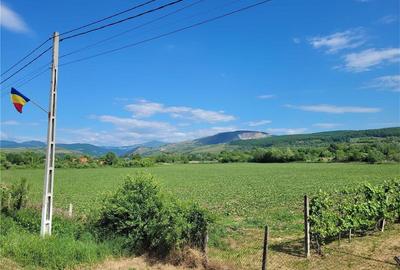 Teren de 8900 mp, în Stremț - 2