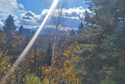 Apartament 2 camere de vanzare Apartament 2 camere de vanzare - 2