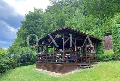 AX949 Pensiune Exclusivista In Inima Statiunii Sovata - 3