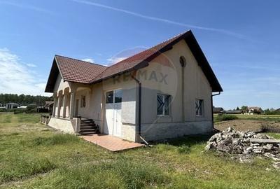 Casa cu 5 camere finisata si 10.400 m2 teren de vanzare in BOTIZ SM - 12