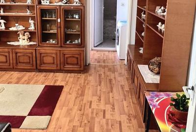 Apartament cu 2 camere semidecomandat în Craiovița Nouă - 3