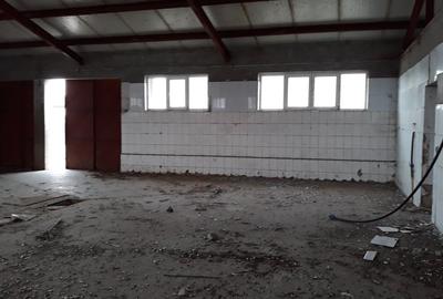 Proprietate specială, de 5,441 mp, în Vâlcelele - 8