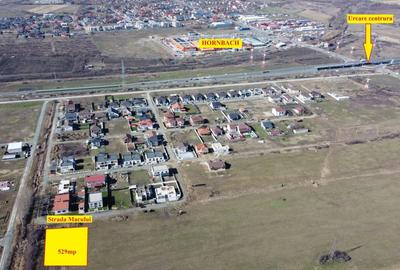 Teren Construcții intravilan de 529 mp, în Moșnița Nouă - 5