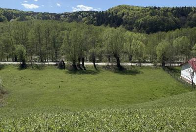 Spațiu comercial, în Făget - 3