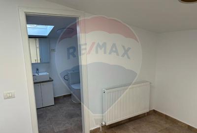 Apartament 2 camere cu terasa Gara de nord Apartament 2 camere cu terasa Gara de nord - 13