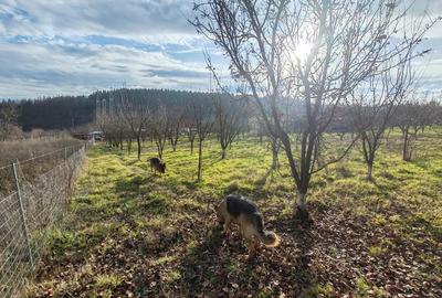 Proprietate deosebita de vanzare cu eficien?a energetica excep?ionala, natura pura - 3