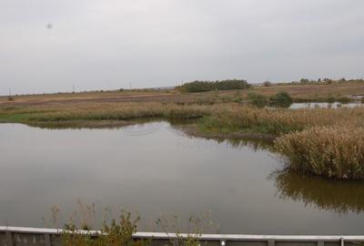 REV0002800 Vila de vanzare cu vedere la lac Laguna Albastra Corbeanca - 27