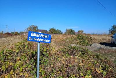 Teren de 704 mp, în Vișani - 1
