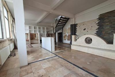 Spatiu comercial suprafete intre 130-87-217 mp zona Plevnei - 12