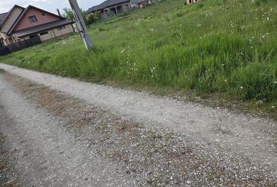 Teren de 739 mp, în Bogdănești (Bujoreni) - 3