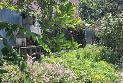 Vila cocheta P+E+M,2005,la 5 min de parc si 7 metrou Brancoveanu,teren generos - 13