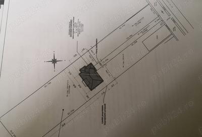 Casă cu 4 camere cu Teren 2700 Mp în Peciu Nou - 2