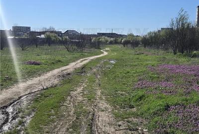 Spațiu comercial, în Păcii - 8