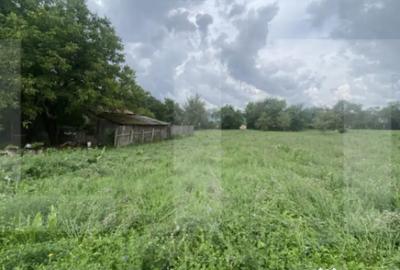 Casă cu 3 camere cu Teren 2100 Mp în Central - 2