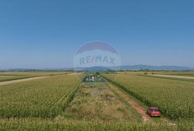 Teren de 1100 mp de vanzare in Stupini - 9