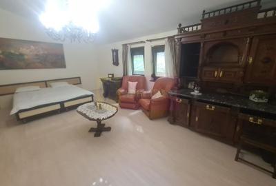 Vila de vanzare in Campina - Zona Lunca Mare - 12
