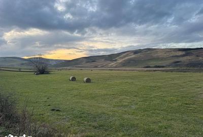 Teren de 6000 mp, în Cojocna - 8