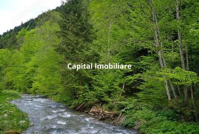 House for sale, 5 Rooms, 180 sqm, Valea Dejani - 7