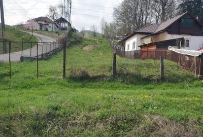 Teren intravilan de 5000 mp, în Slătioara - 4