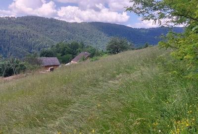 Teren de 2263 mp, în Horea - 1